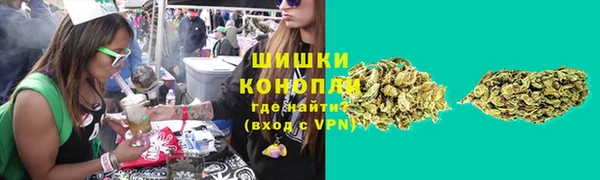 эйфоретик Белая Холуница