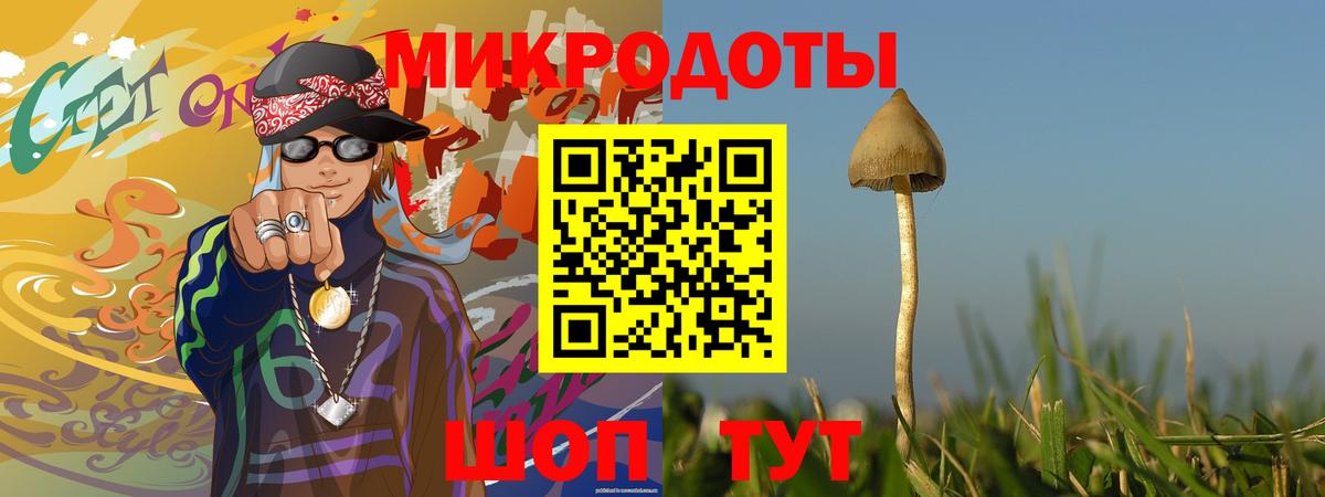 Псилоцибиновые грибы GOLDEN TEACHER Приморско-Ахтарск