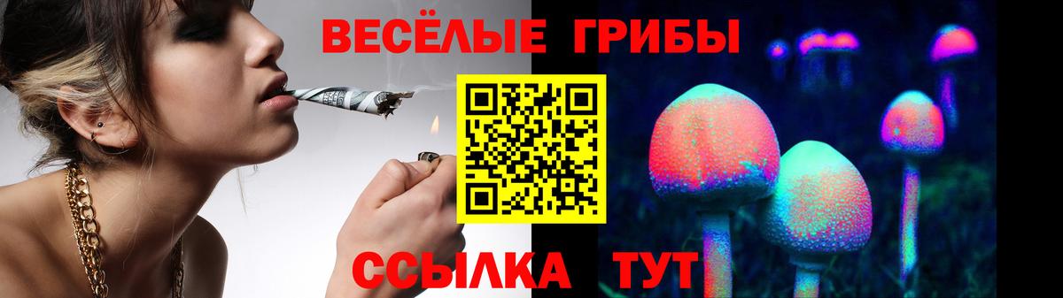 Галлюциногенные грибы Cubensis  Вход с VPN  Приморско-Ахтарск  Псилоцибиновые грибы Cubensis 